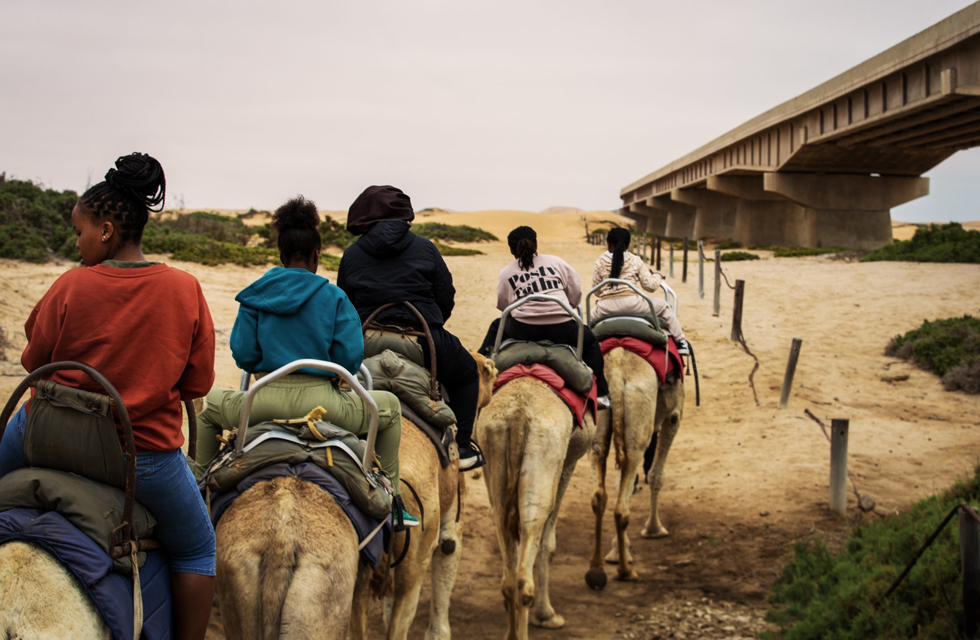 Members of the ETHS delegation riding camels through the Namibian landscape